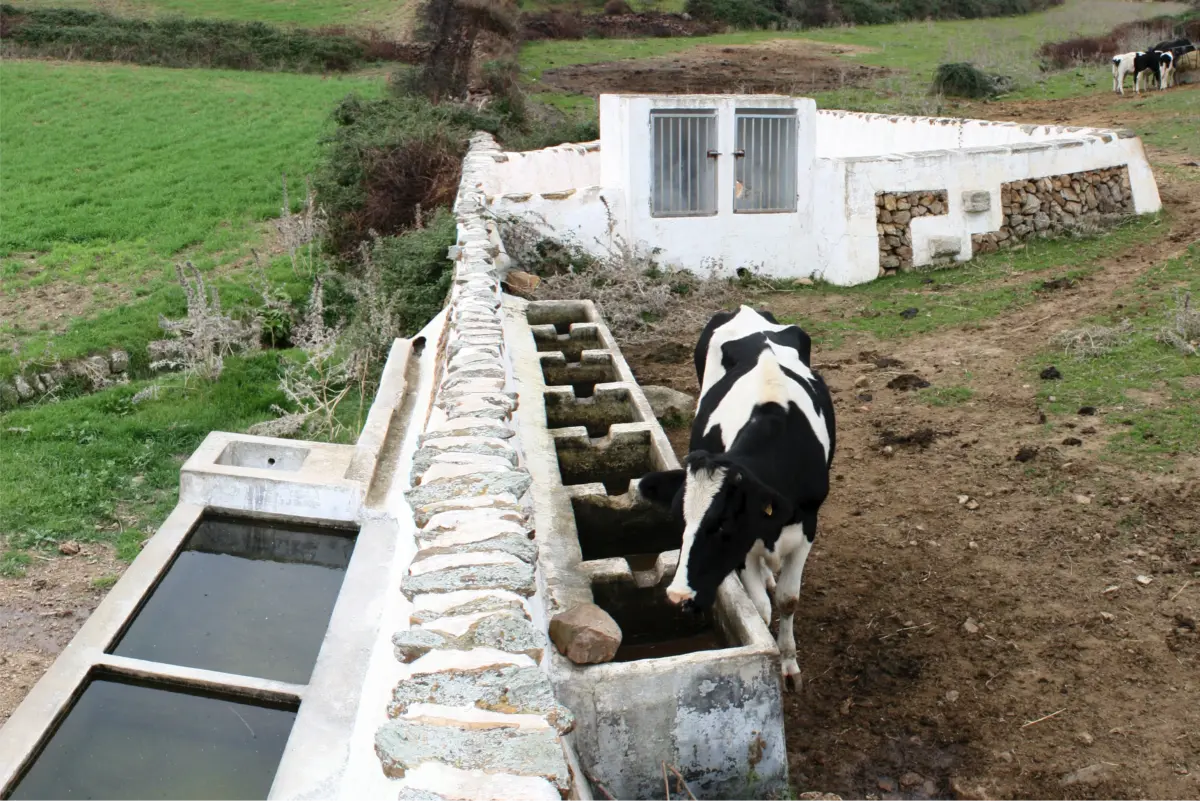 Arquitectura de Sa Pluja a Menorca