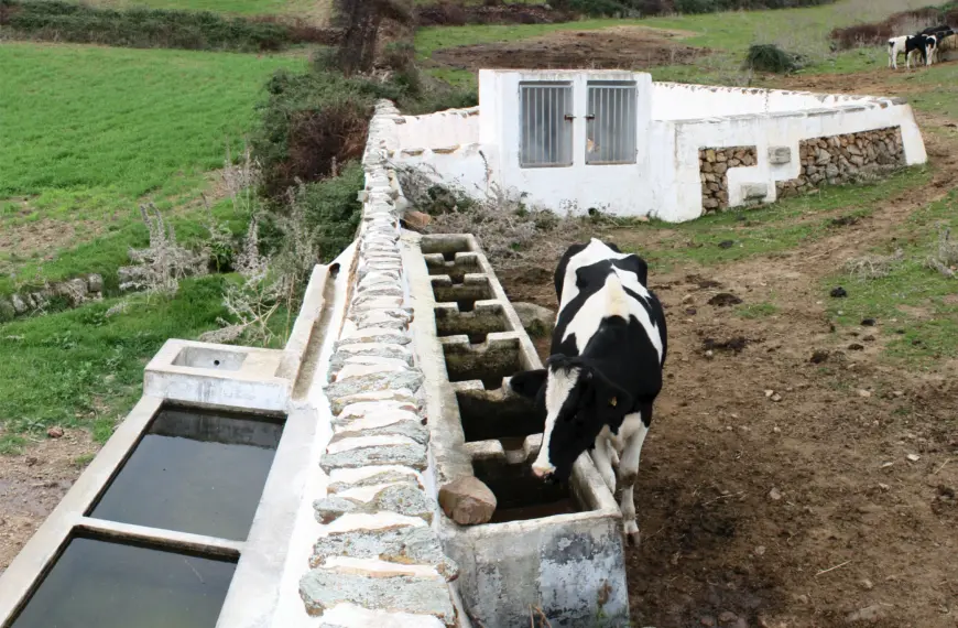 Arquitectura de Sa Pluja a Menorca