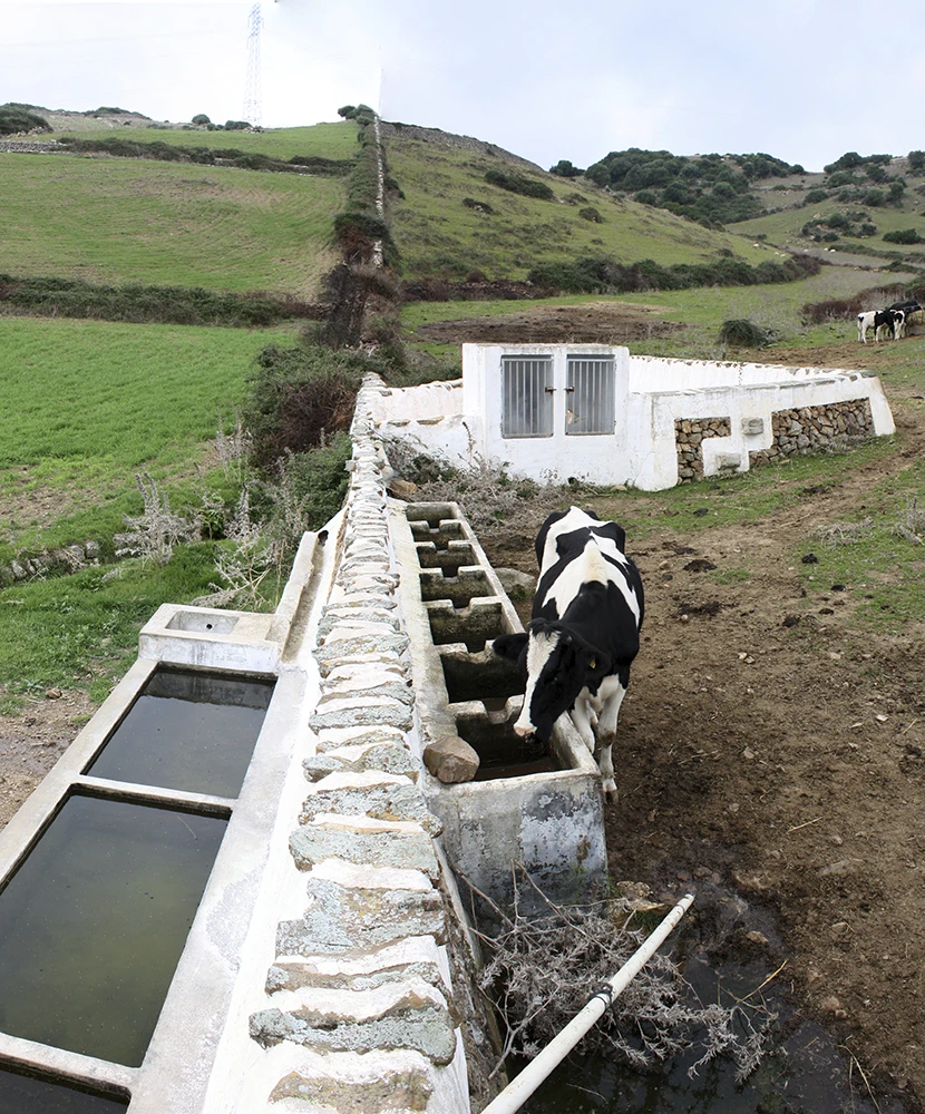 Arquitectura de Sa Pluja a Menorca