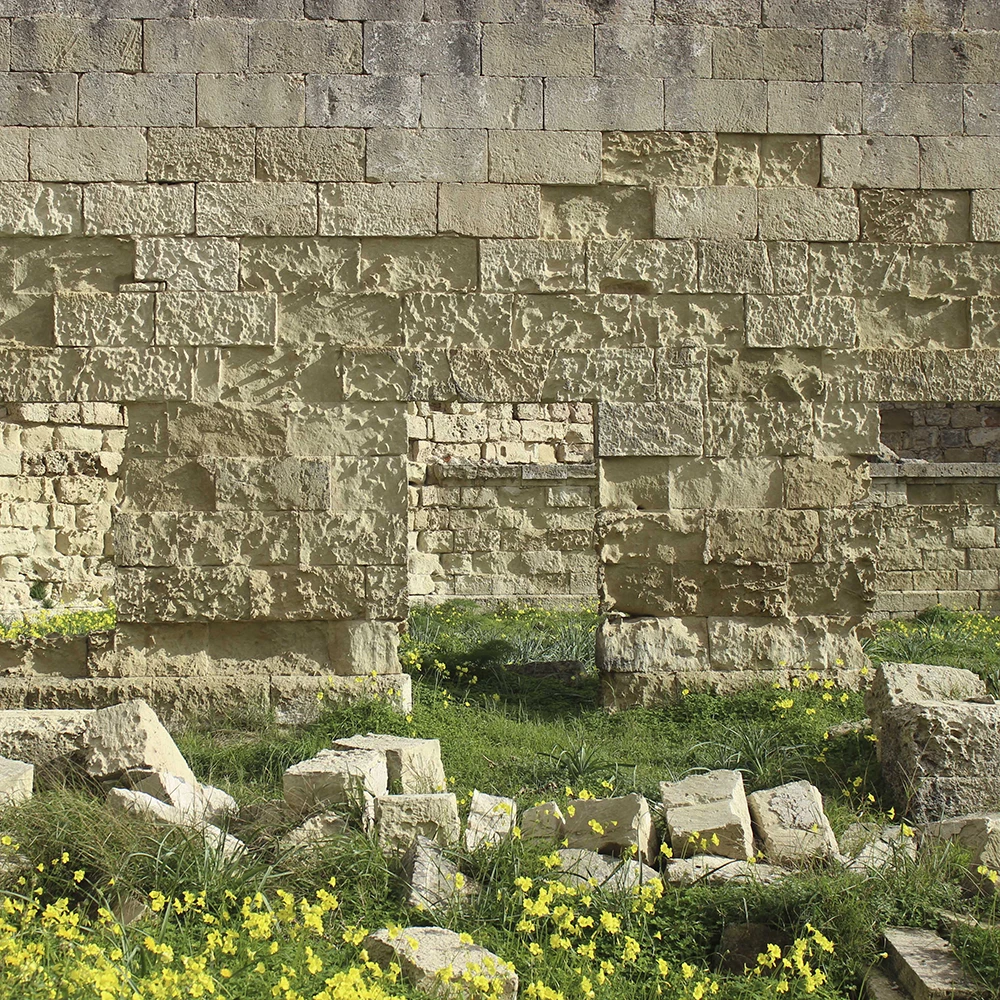 Pla director del Llatzeret Maó